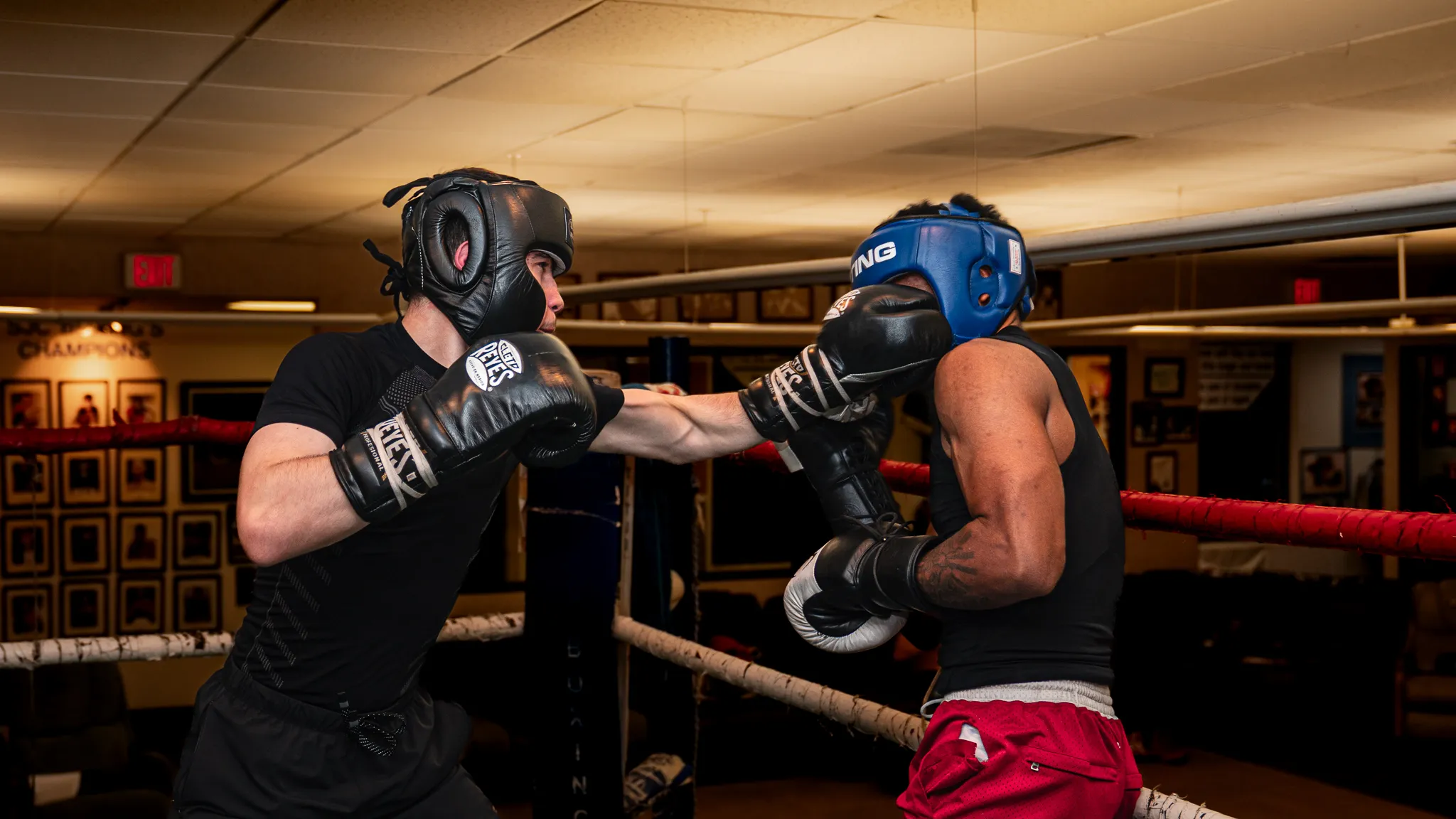 All Photos - Image 33